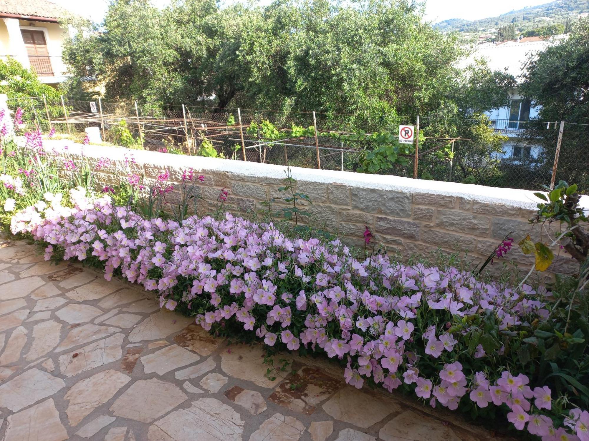 Oneiro House Apartment Kassiopi Exterior photo